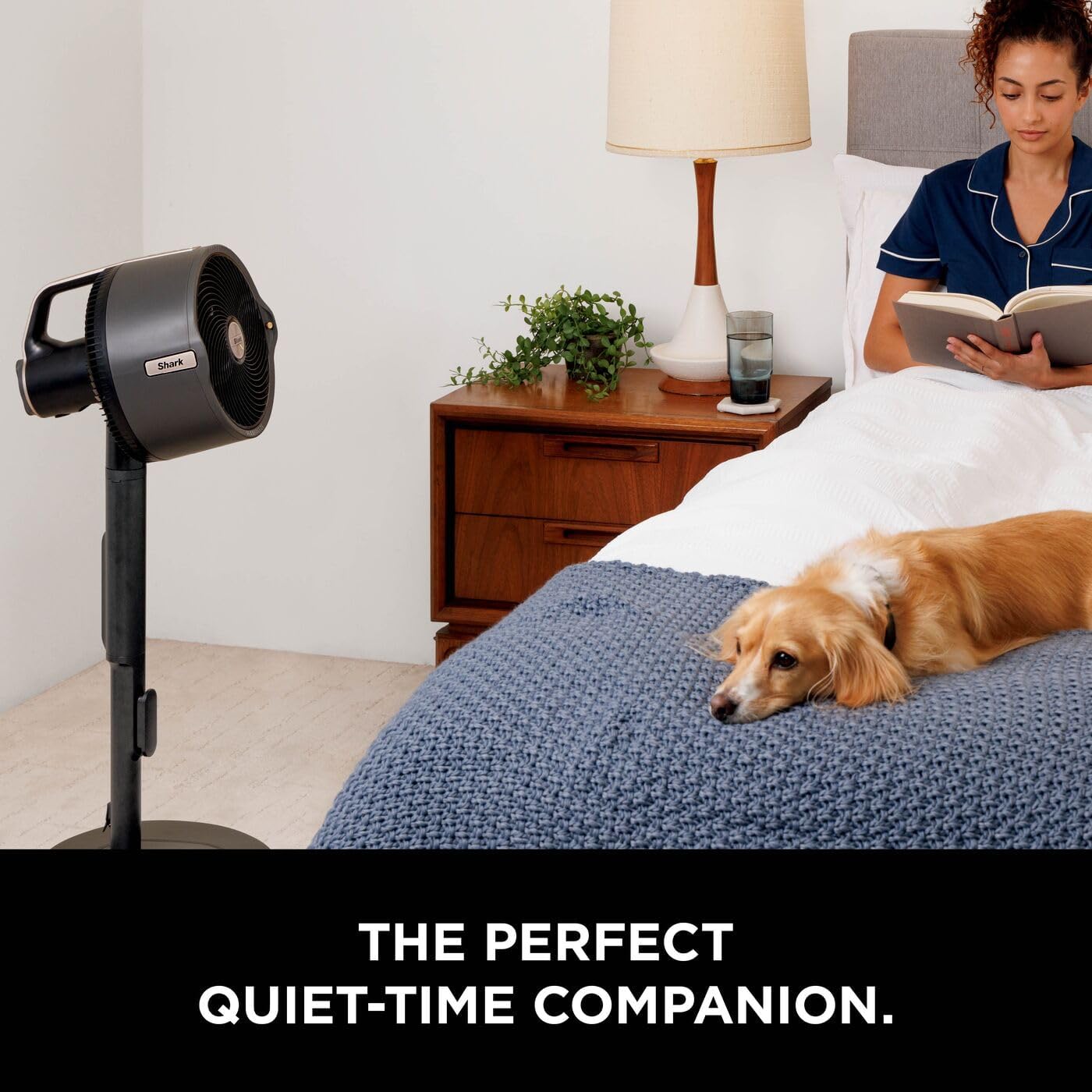 Shark FlexBreeze Pro Mist Cordless Indoor & Outdoor Fan with Outdoor Misting System, 20m Cooling Reach, 24hr Runtime, Pedestal & Table Fan, 5 Speeds, Quiet, Remote Control, Charcoal Grey FA300UK